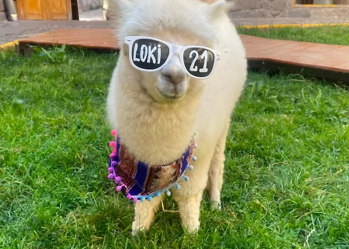 Albergue Loki Cuzco